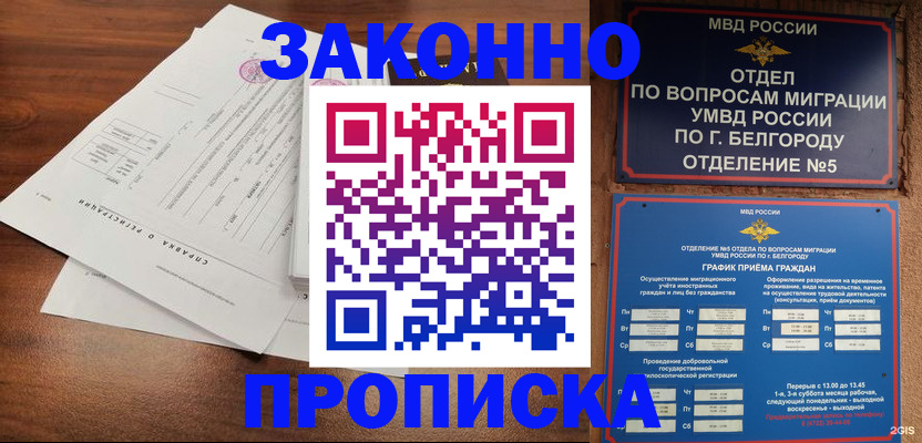 прописка в Белгородской области
